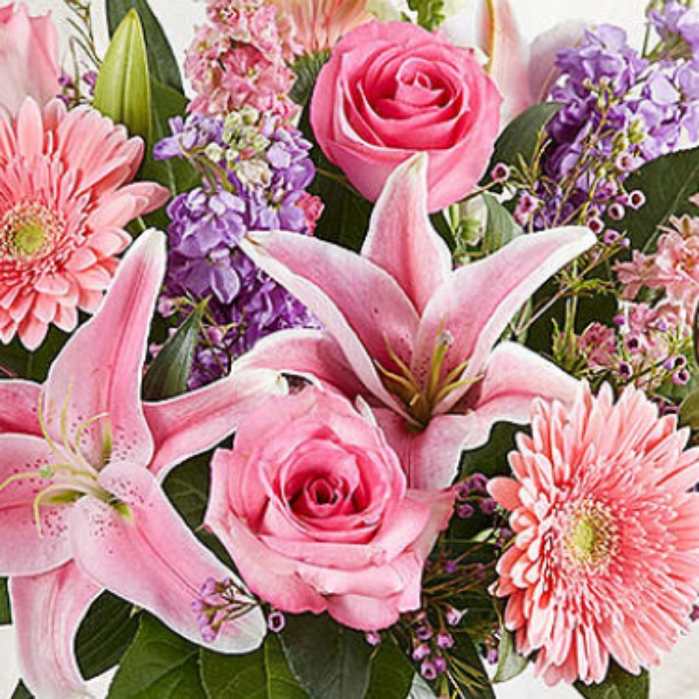 Meet your Posher, Emily